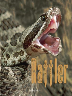 cover image of Rattler